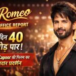 Shahid Kapoor की O'Romeo का बॉक्स ऑफिस धमाका